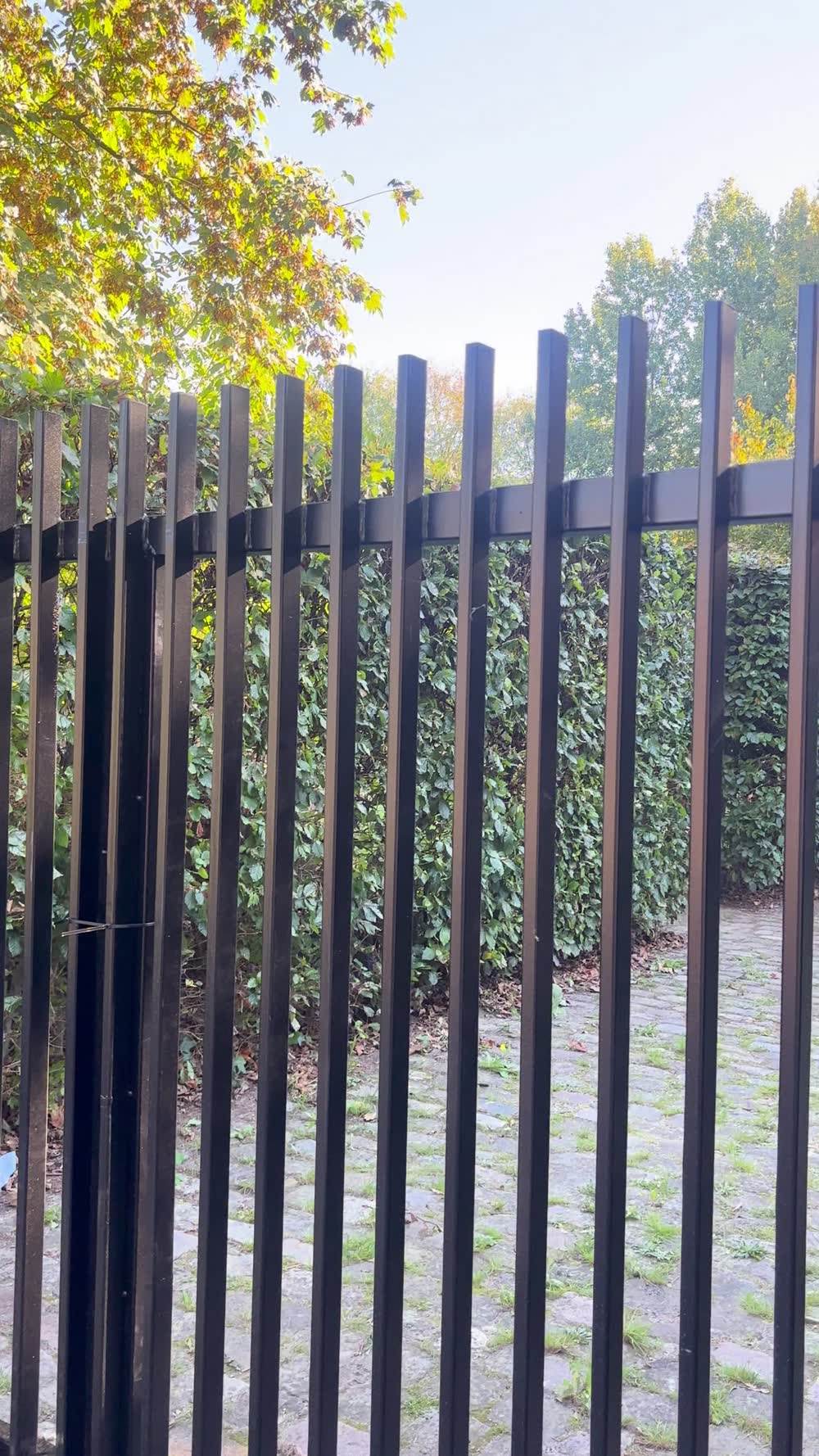 Zweiflügeliges Tor aus schwarzen Stahlstäben